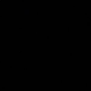 Meet your Posher, Violet